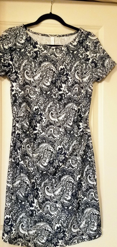 NWT Pink Blush blue paisley fitted dress maternity